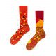 Chaussettes Golden Eggs - Bibop et Lula