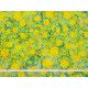 Tissu Coton Batik Jaune Tortue - Bibop et Lula