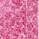 Coton Batik fleurs framboise - Bibop et Lula